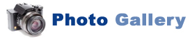Photo Gallery